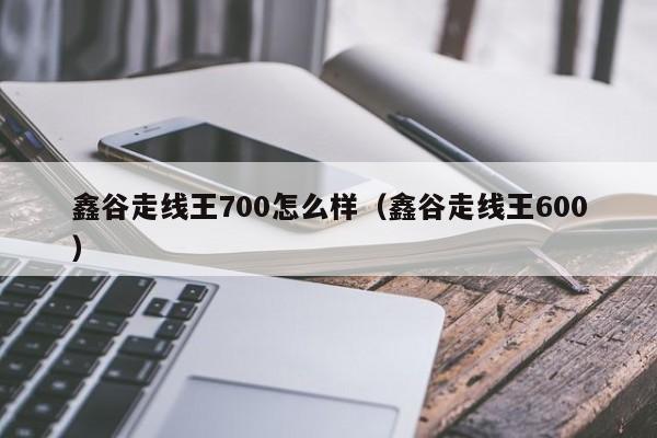 鑫谷走线王700怎么样（鑫谷走线王600）